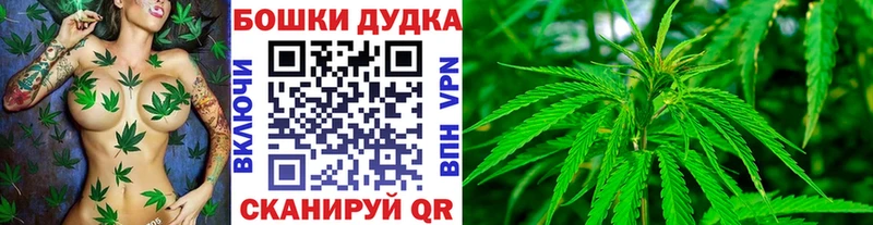 Бошки марихуана сатива  цены наркотик  сайты даркнета как зайти  Жуковский 